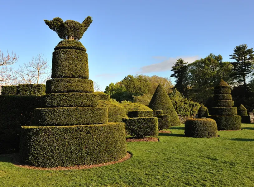 Levens Hall Topiary Gardens Cumbria England 